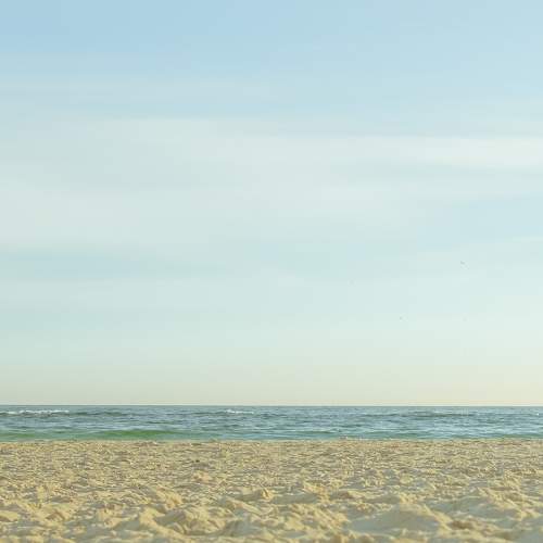 Photo #7268821