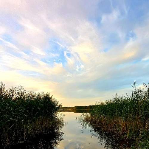Photo #7269211