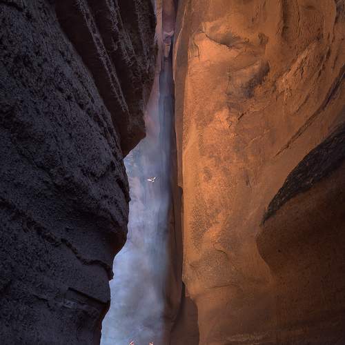 Photo #7269343