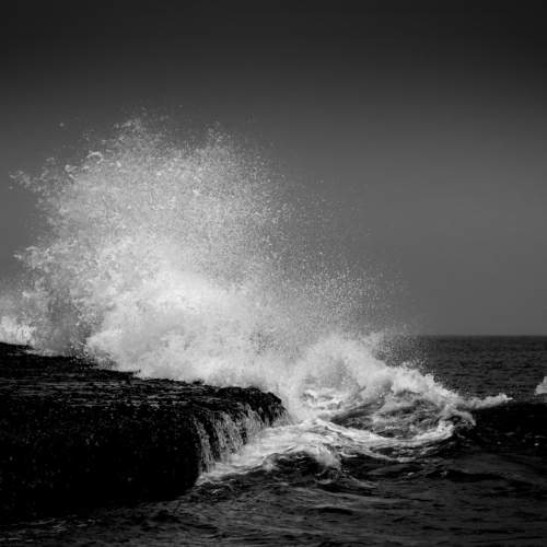Photo #7269613