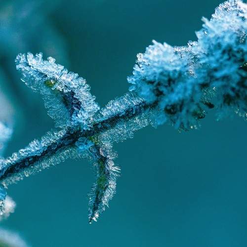 Photo #7269694
