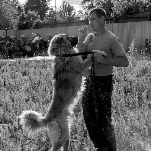 Photo #7269729