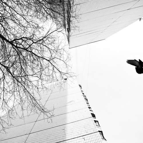 Photo #7270135