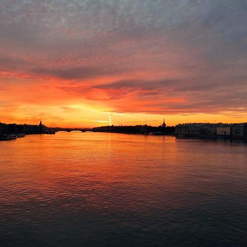 Photo #7270313