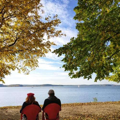 Photo #7270419