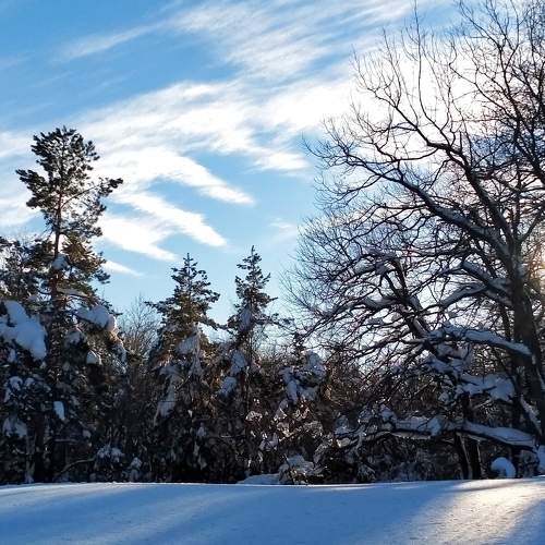 Photo #7270422