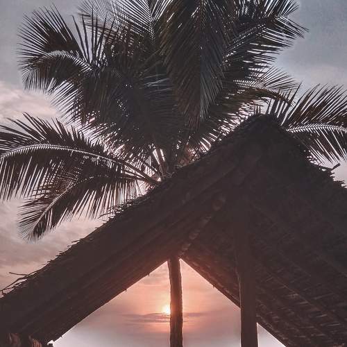 Photo #7270436