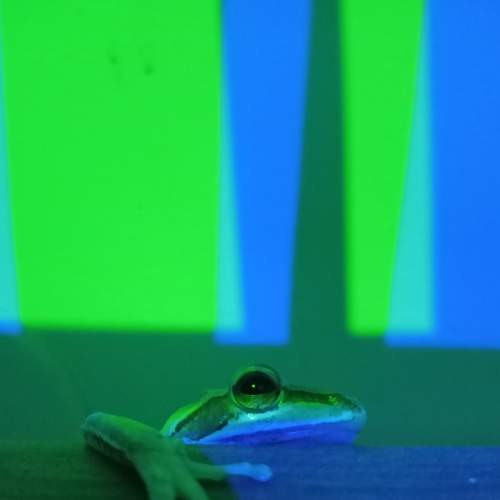 Photo #7270555
