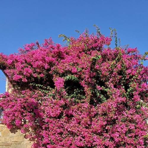 Photo #7270608