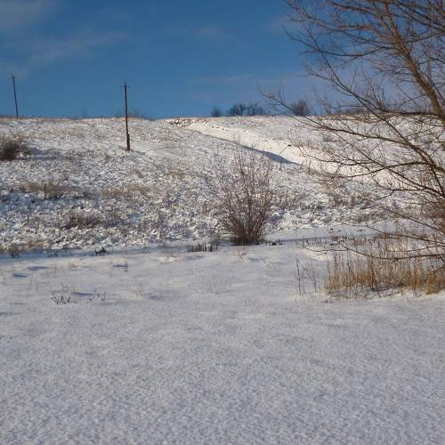 Photo #7270628