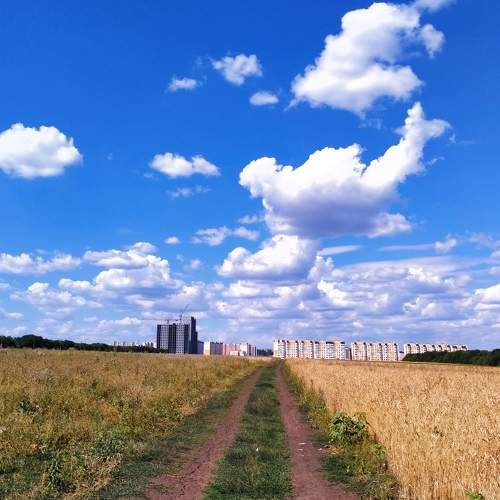 Photo #7270640
