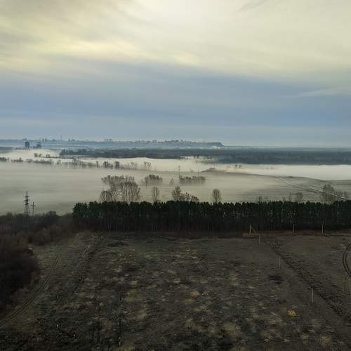 Photo #7270652