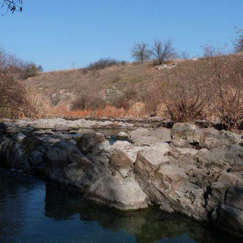 Photo #7270690