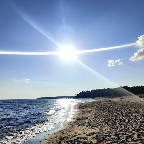 Photo #7270737