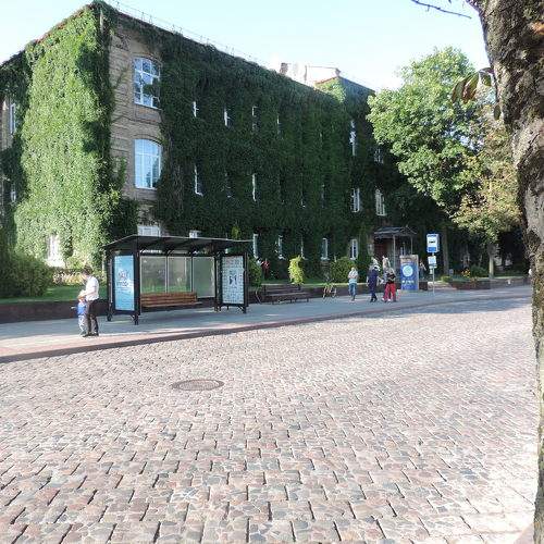 Photo #7270813