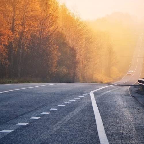 Photo #7270933