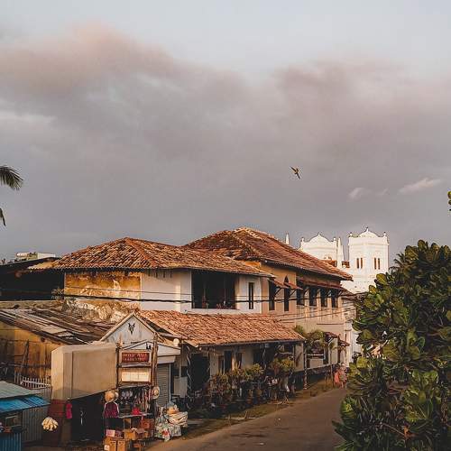 Photo #7271047