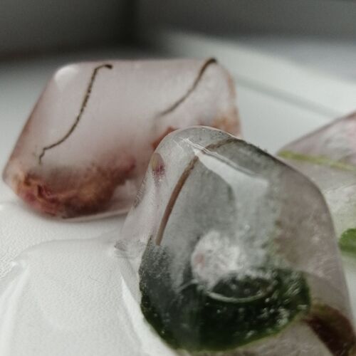 Photo #7271149