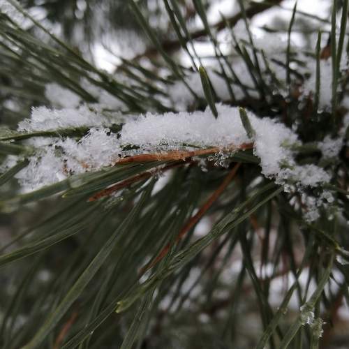Photo #7271247