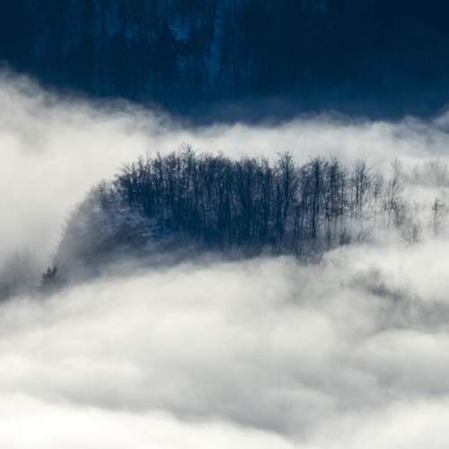 Photo #7271352
