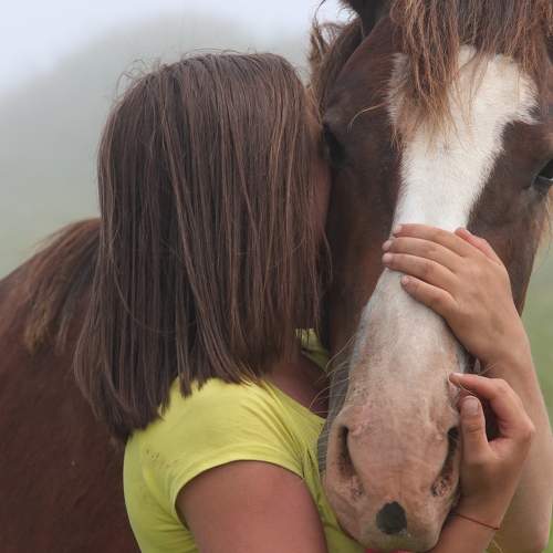Photo #7271426