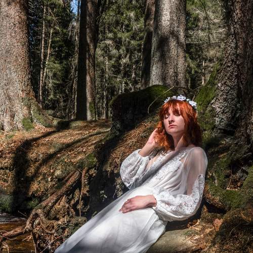 Photo #7271494