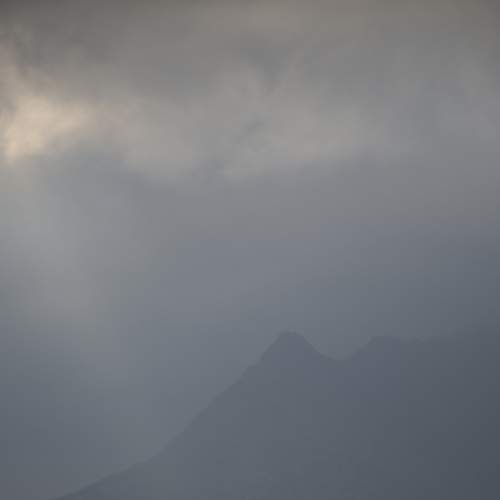 Photo #7271515