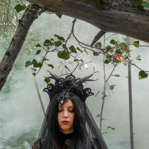 Photo #7271789