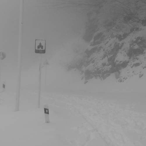 Photo #7271848