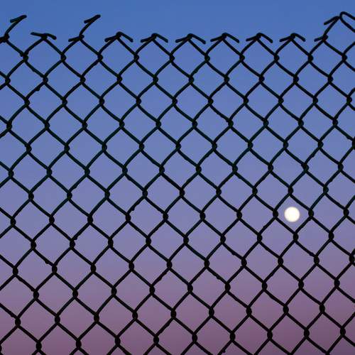 Photo #7271987
