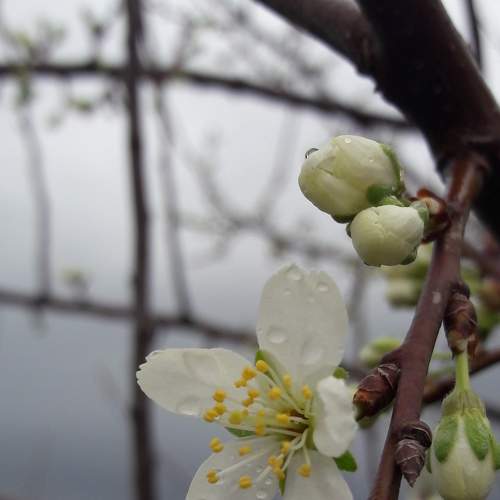 Photo #7272130