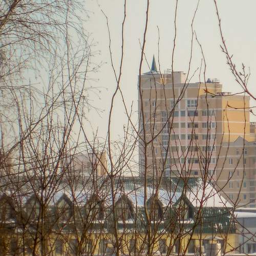 Photo #7272147