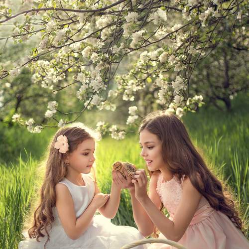 Photo #7272191