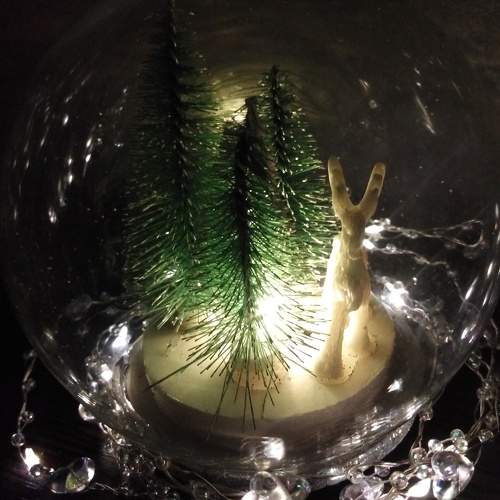 Photo #7272213