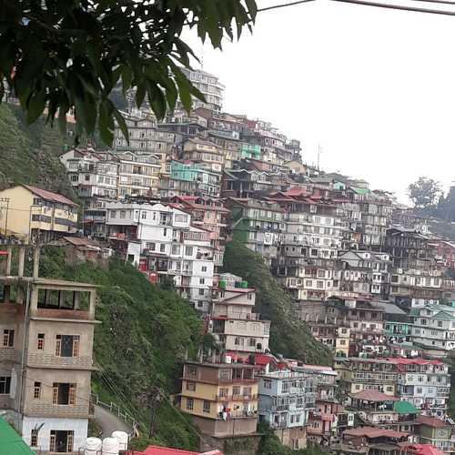 Photo #7272466