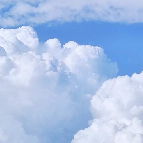 Photo #7272510