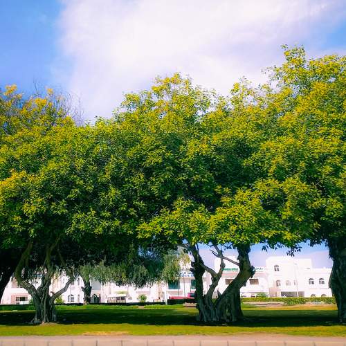 Photo #7272513
