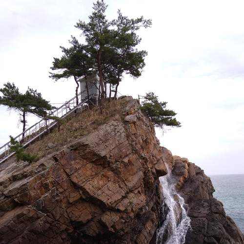 Photo #7272558