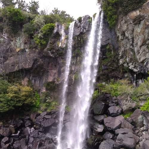 Photo #7272606
