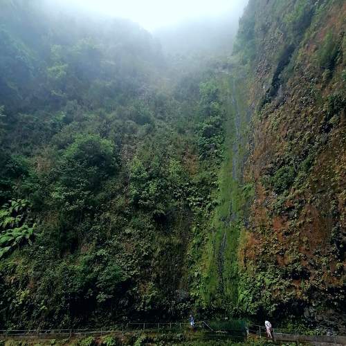 Photo #7272634