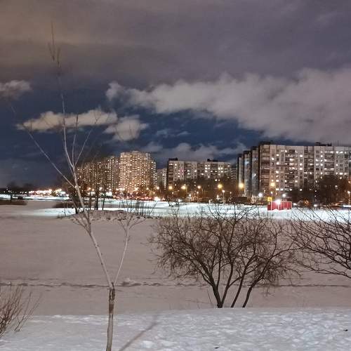 Photo #7272876
