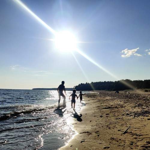 Photo #7272894
