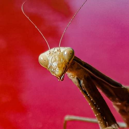 Photo #7273061