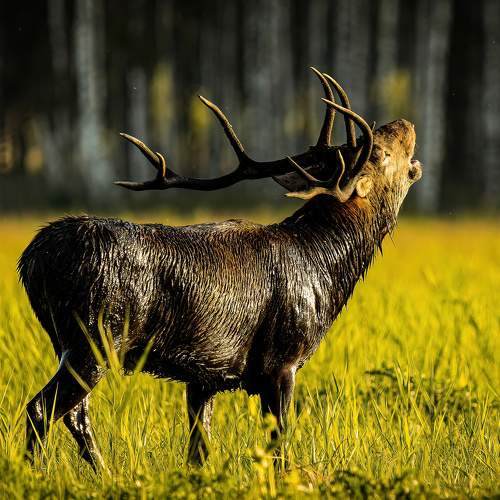 Фотография #7273805