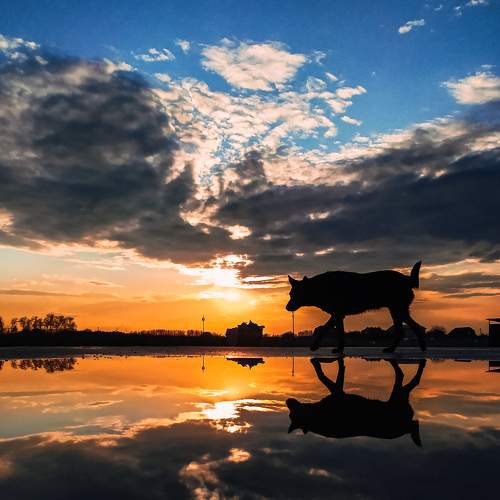 Photo #7273886