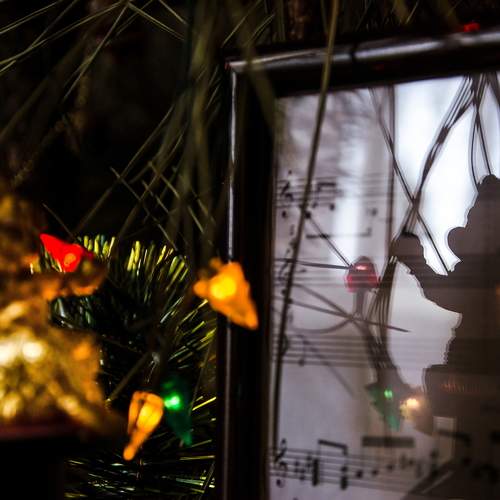 Photo #7274150