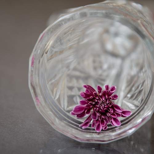 Photo #7274190