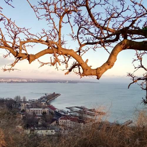 Photo #7274263