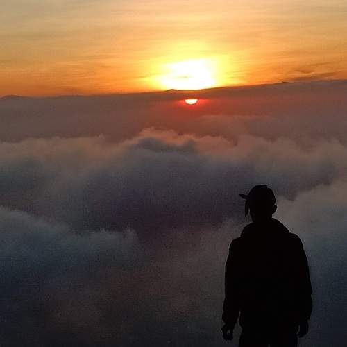 Photo #7274304