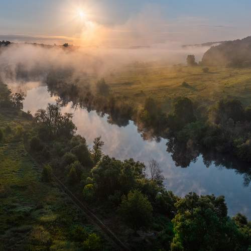 Photo #7274454